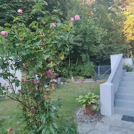 Apartment W Sasiedztwie Lasu 1800m Od Morza Zoppot