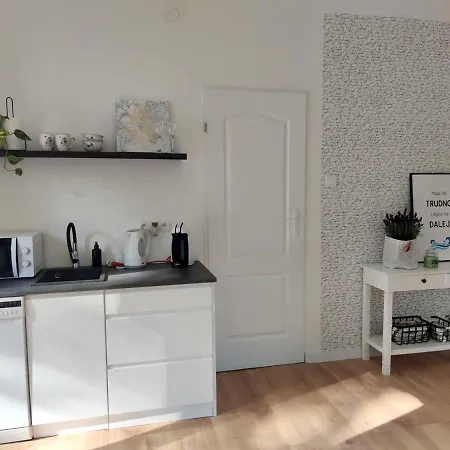 Apartment W Sasiedztwie Lasu 1800m Od Morza Zoppot