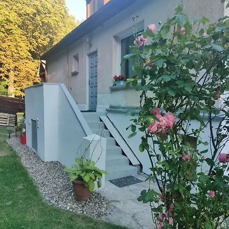 W Sasiedztwie Lasu 1800m Od Morza *