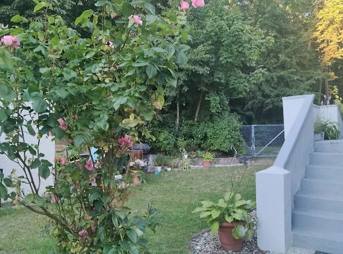 Apartment W Sasiedztwie Lasu 1800m Od Morza Zoppot