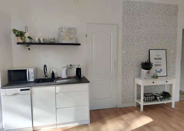 Apartment W Sasiedztwie Lasu 1800m Od Morza Zoppot