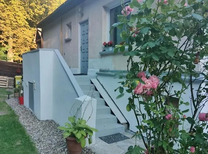 W Sasiedztwie Lasu 1800m Od Morza *